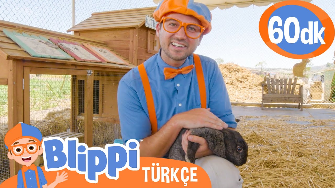 Blippi Bir Çiftliği Keşfediyor 🐇 | Blippi Türkçe - Çocuklar için Eğitici Videolar