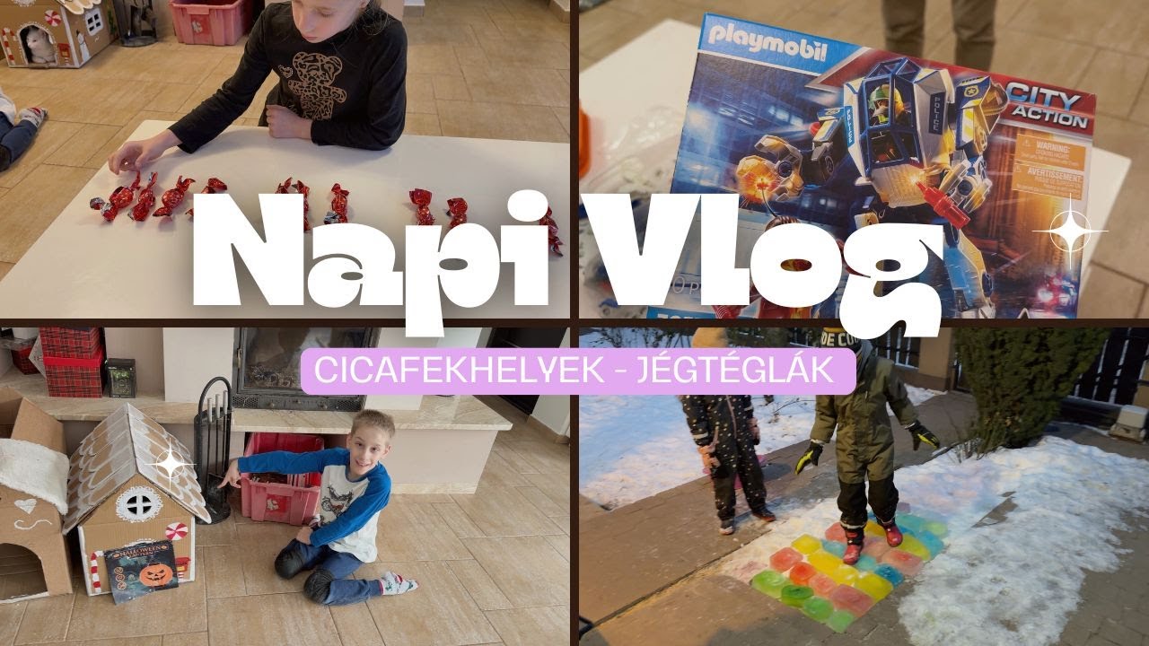 NapiVlog (jan.19-24.) - Cicafekhelyek 🐈 - Jégtéglák