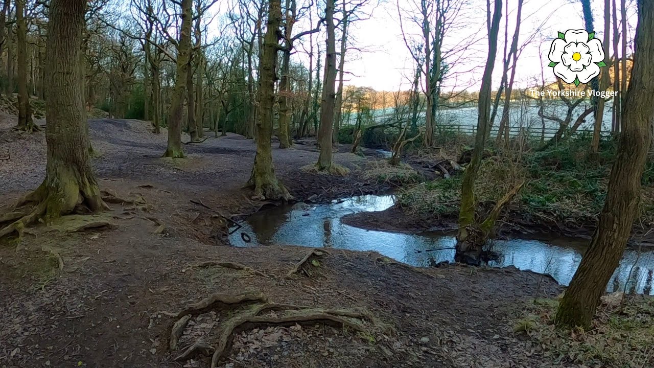 Stoneycliffe Wood | Wakefield (Vlog #60)