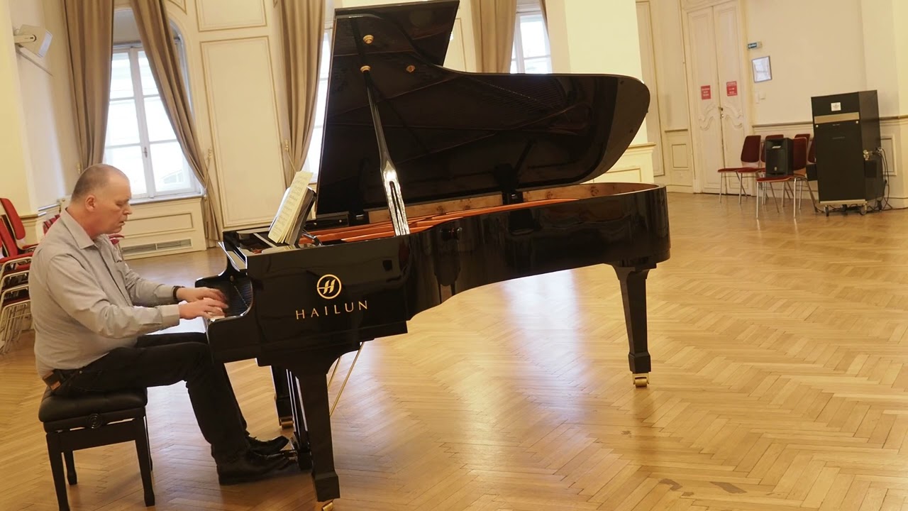 Brahms Intermezzo Op.116 No.2 - Hailun HG 218