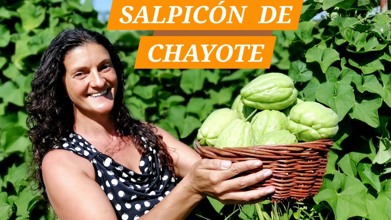 SALPICÓN DE PATACA DO AIRE  (CHAYOTE) 🥗  || {NUSKA}