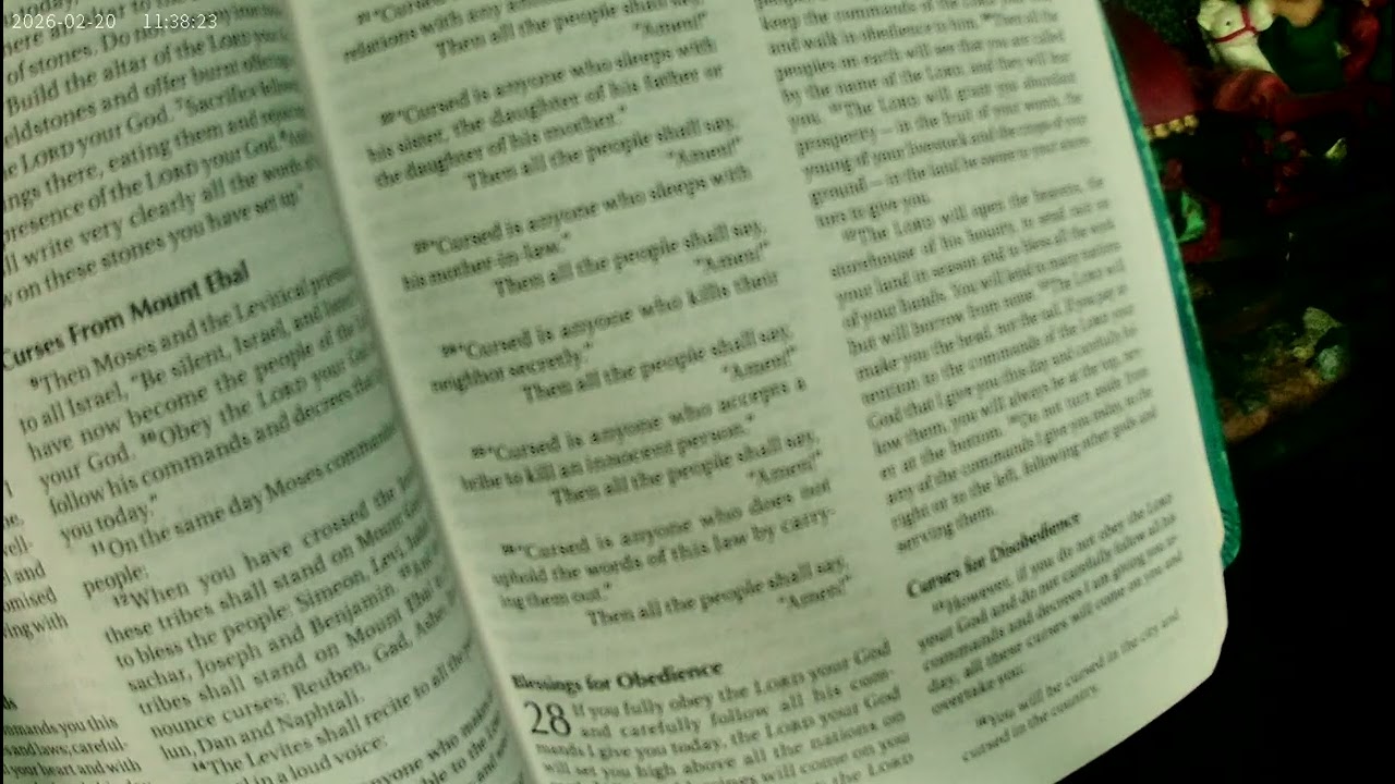Deuteronomy Chapter 28