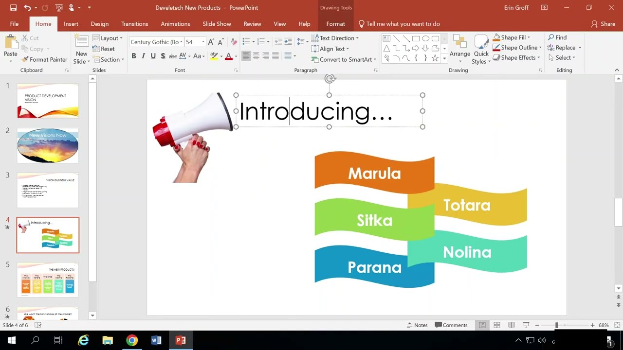 PP1 Activity 1-1