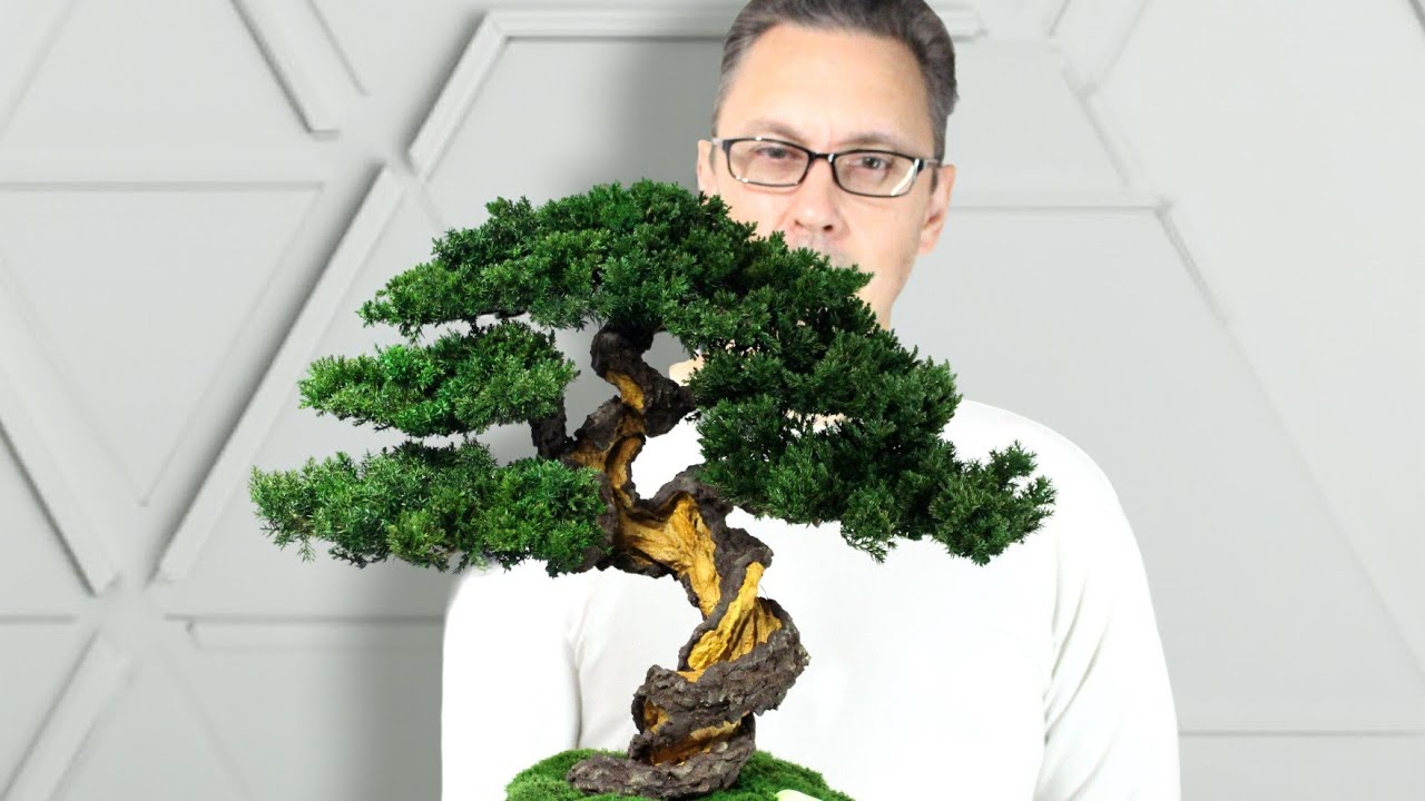 The best interior decor - preserved mini Bonsai Tree. 15,35