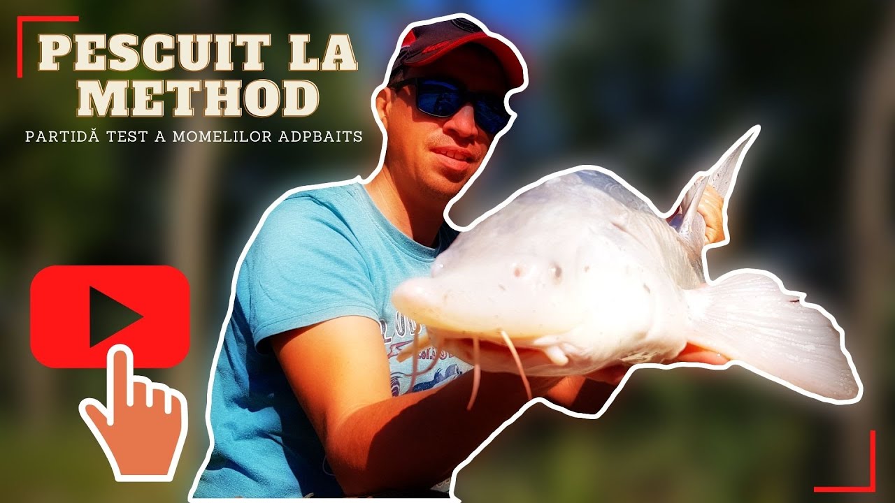 Pescuit la Method Feeder | Sturionii au dat năvală