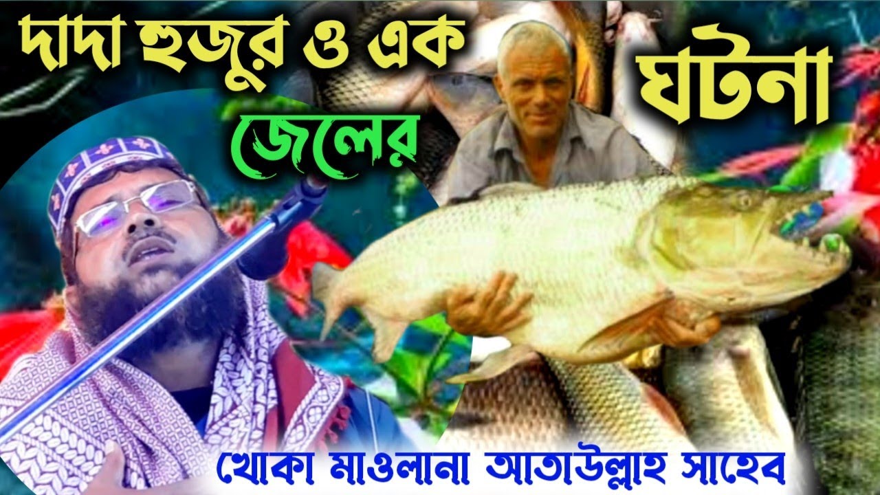 দাদা হুজুর ও এক জেলের ঘটনা┇খোকা মাওলানা┇আতাউল্লাহ সাহেব┇Khoka maulana waz mosiur Rahaman waz