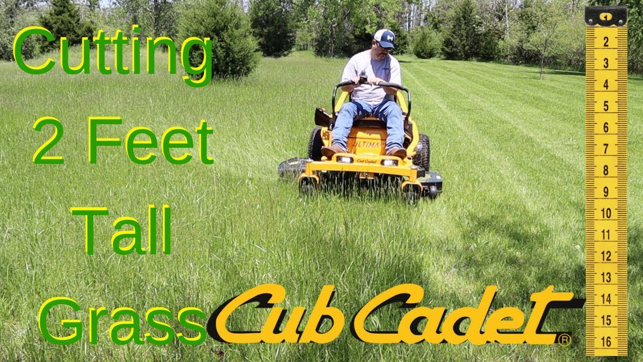Cub Cadet Ultima ZT1 50 Cutting 2 Foot Tall Grass!