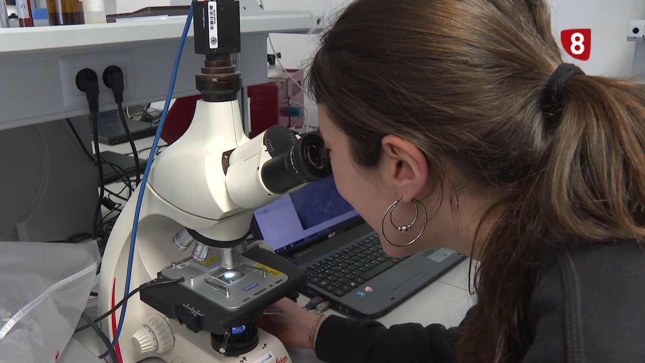 Proyecto Biopom
