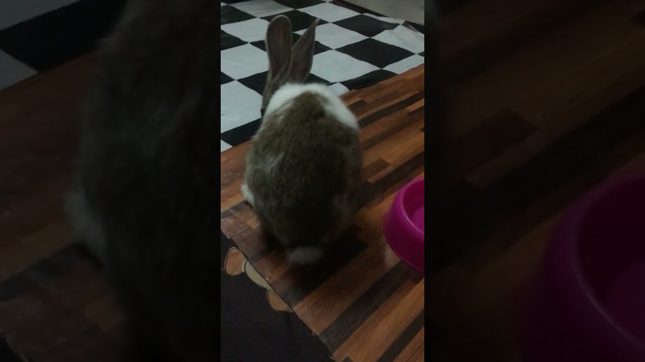 แม่ขยันสั่ง
