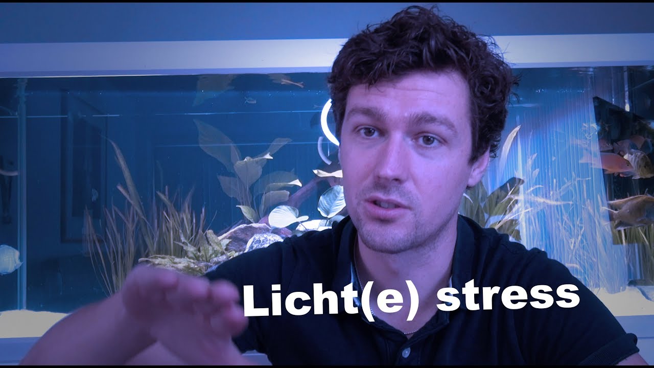 Aquarium verlichting, hoe sterk en lang moet dit eigenlijk?