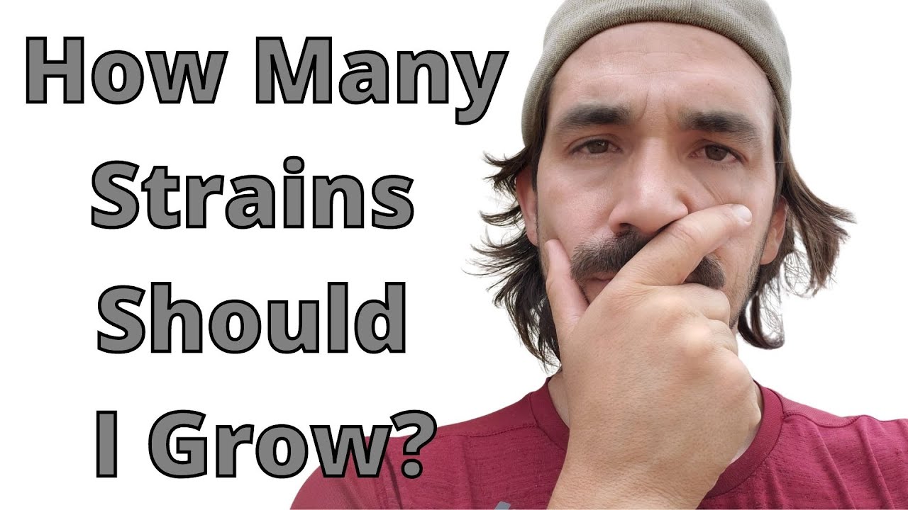Should I Grow Multiple Strains
