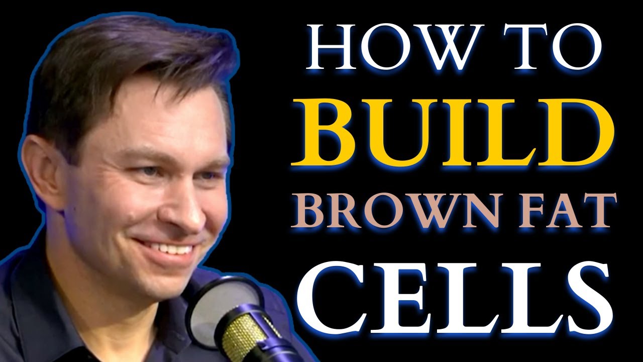 How To Build Brown Fat Cells | Dr. David Sinclair & Sweet Fruit