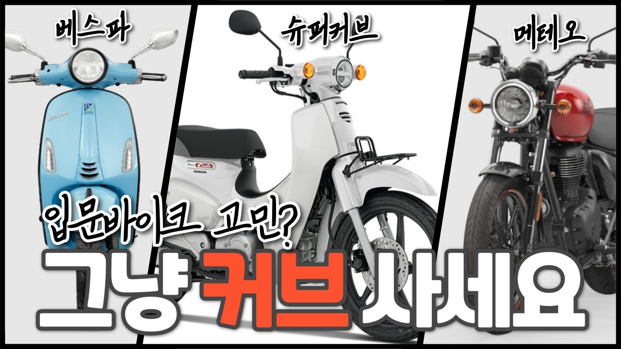 직접 타보고 추천해주는 입문 바이크 #바이크 #입문바이크 #베스파 #슈퍼커브 #메테오350 #프리마베라 #혼다 #로얄엔필드 #입문용바이크 #저배기량 #입문추천 #오토바이