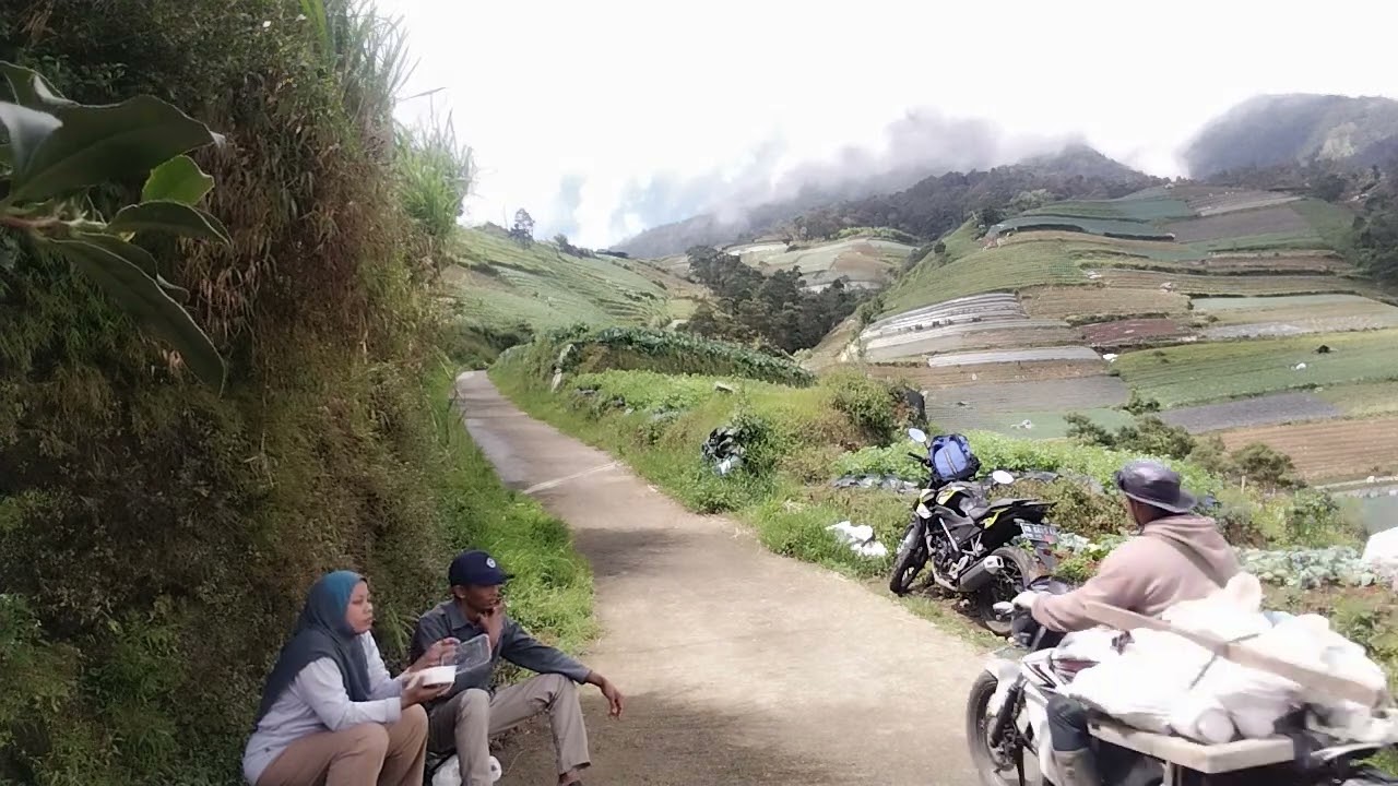 #kebunsayursukomakmur#