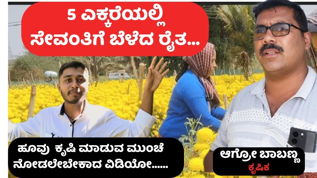 ಹೂವಿನ ಕೃಷಿ ಮಾಡಬೇಕೆಂದು ಯೋಚಿಸುತ್ತಿದ್ದೀರಾ?ಒಂದು ಎಕರೆಗೆ ಎಷ್ಟು ಹೂಡಿಕೆ ಬೇಕು?ಎಷ್ಟು ಆದಾಯ ? ಲಾಭ ನಷ್ಟ ಏನು?