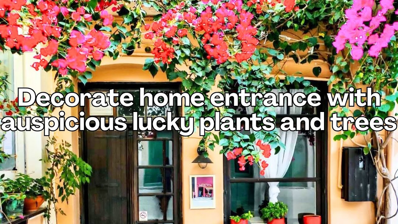 Decorate home entrance with auspicious lucky plants and trees | lucky plants and trees for your home