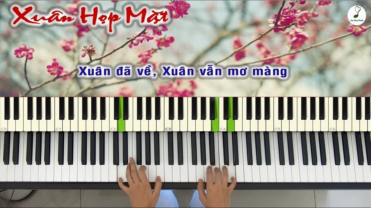 Xuân Họp Mặt (Văn Phụng) | Piano cover| Linh Nhi