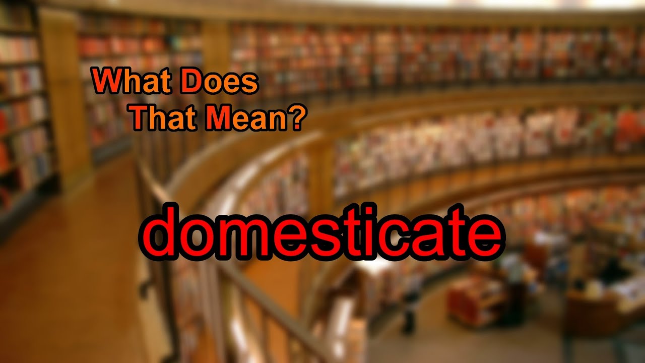 What does domesticate mean?