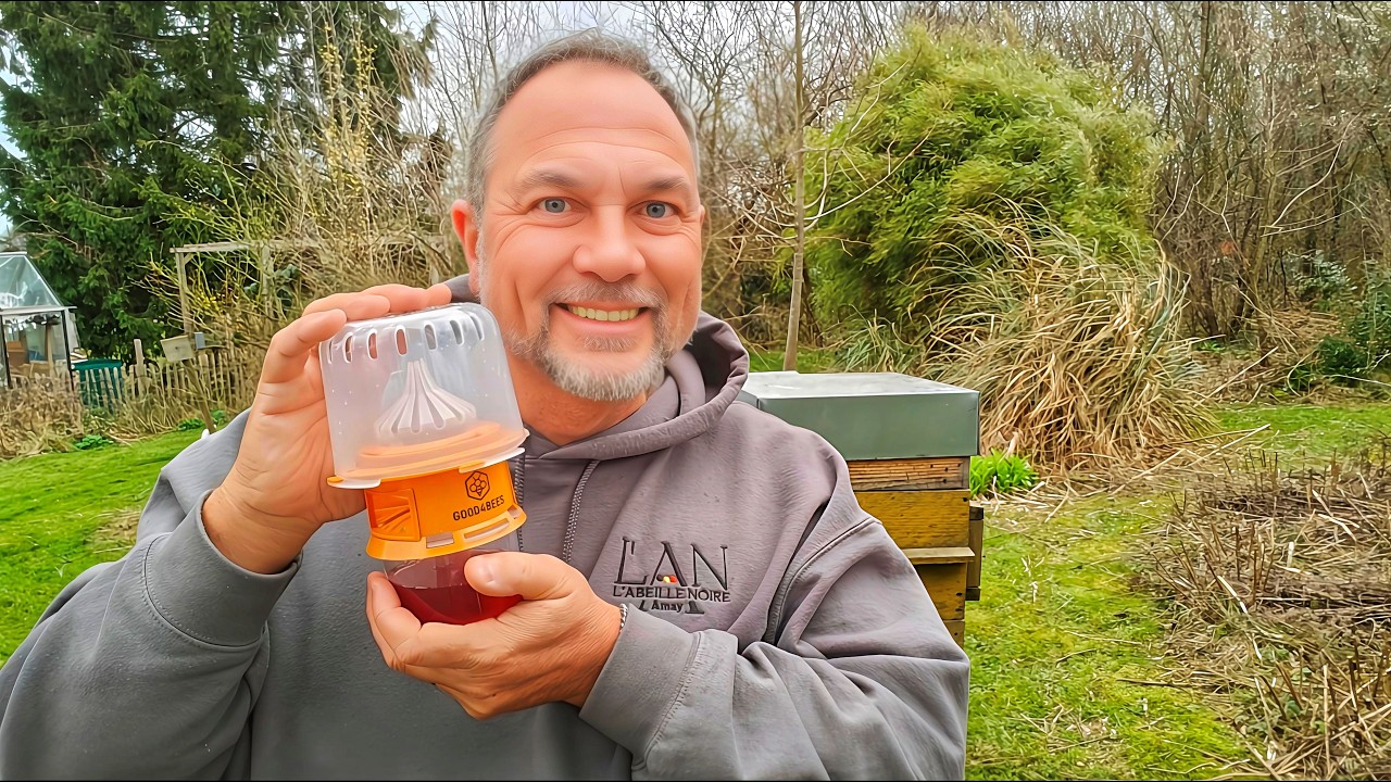 Frelon asiatique : le moment clé pour piéger les reines | Apiculture S06E02