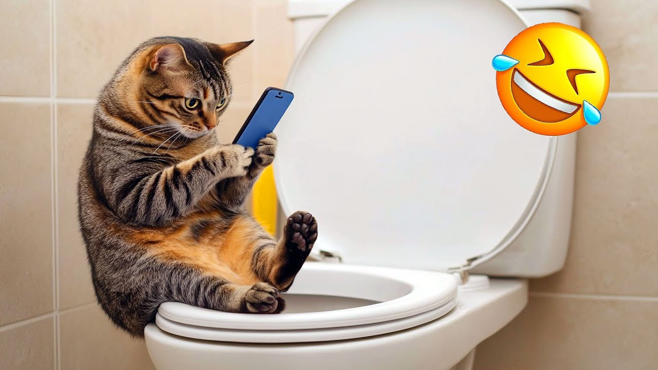 Funny Cat & Dog Videos 2024 😂 Funniest Animals 😂 Try Not To Laugh PART 24