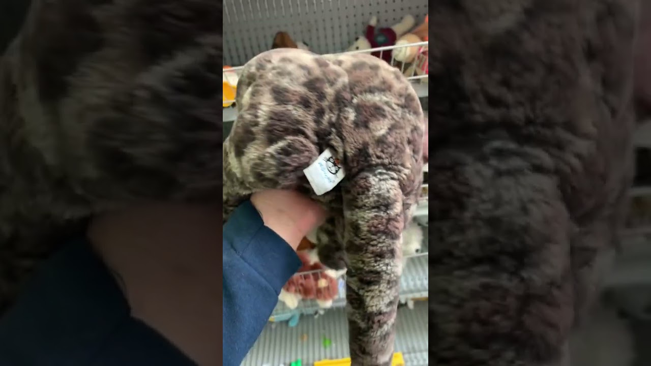 Не пропустите это в комиссионном магазине, большие деньги.