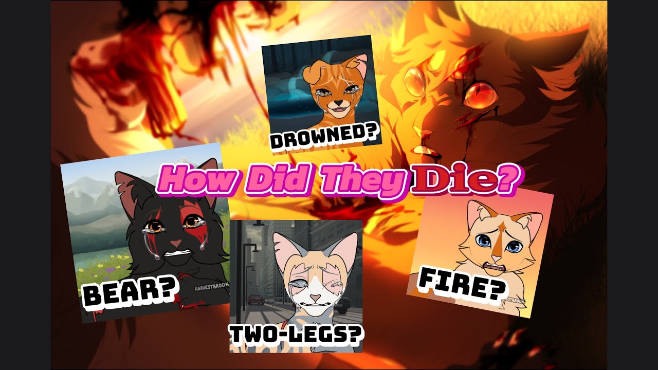 My Warrior Cats OC's Deaths and Last Words (In Order - 1st to Last)