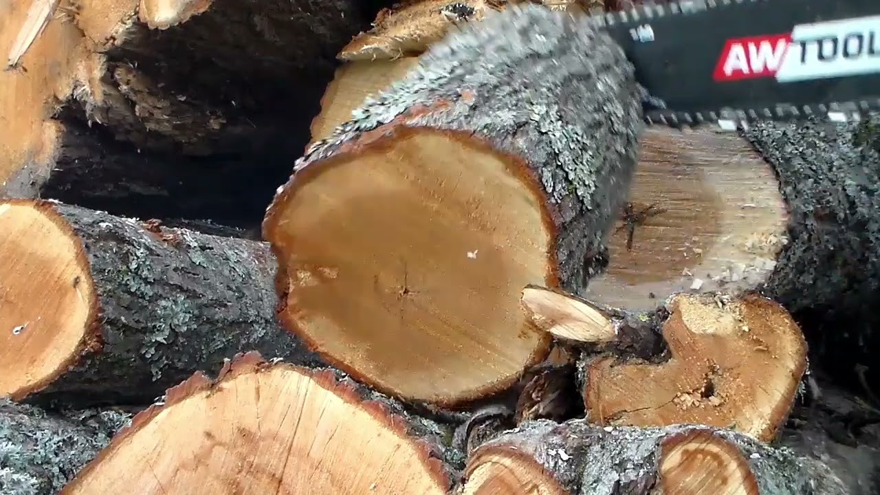 Stihl ms261 i piła AW test pilarek