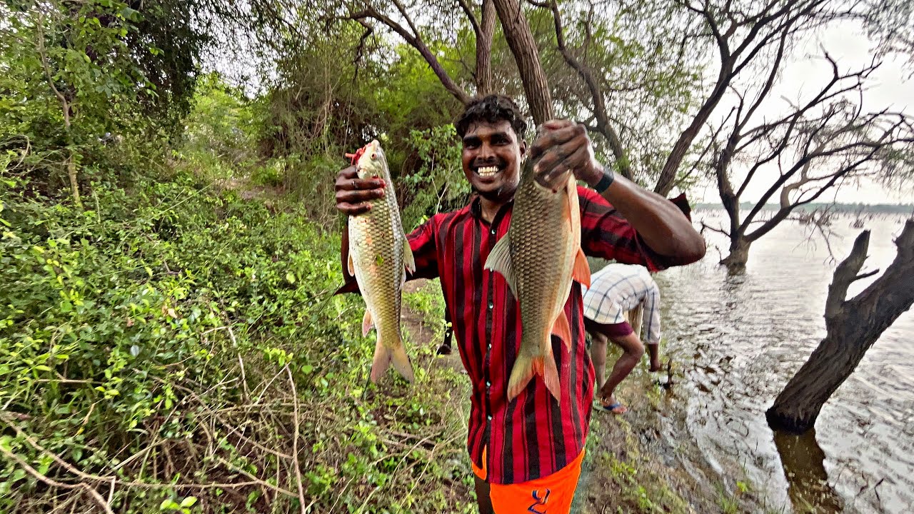 கடல் போல் கன்மாயல் எதிர் பார்க்காத மீன்கள் வேட்டை #நத்தம்மாரியம்மன் 
