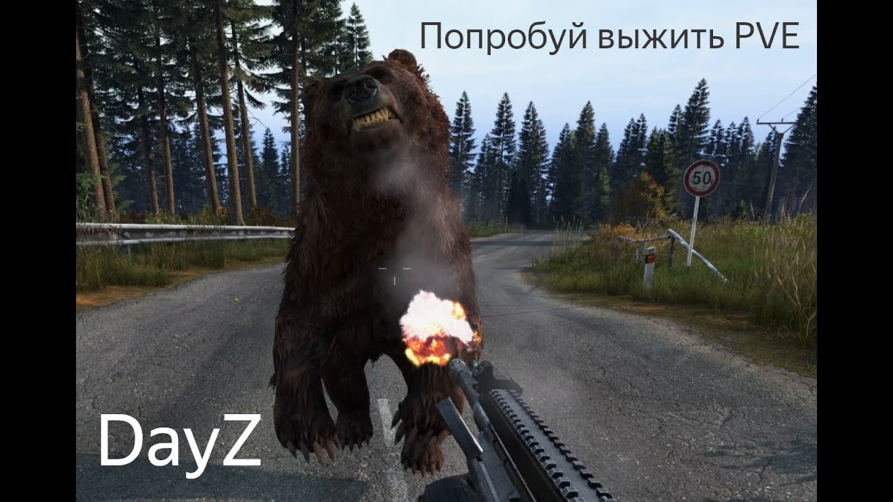 DAYZ | ПОПРОБУЙ ВЫЖИТЬ PVE | НИ МИНУТЫ ПОКОЯ | АТМОСФЕРНОЕ ВЫЖИВАНИЕ В СОЛО!