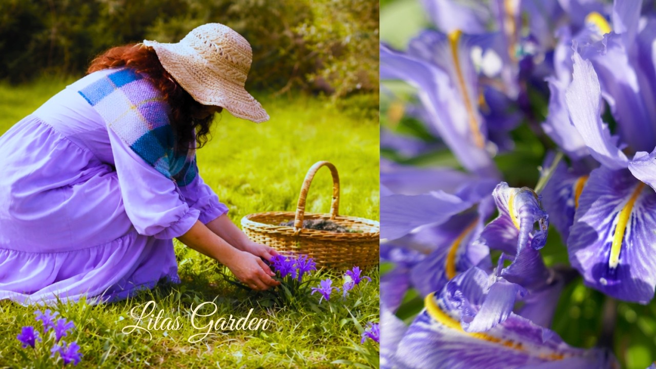 Mediterranean Winter in Bloom | Wild Irises, Camellias & a Rescued Kitten | Slow Living in 4K