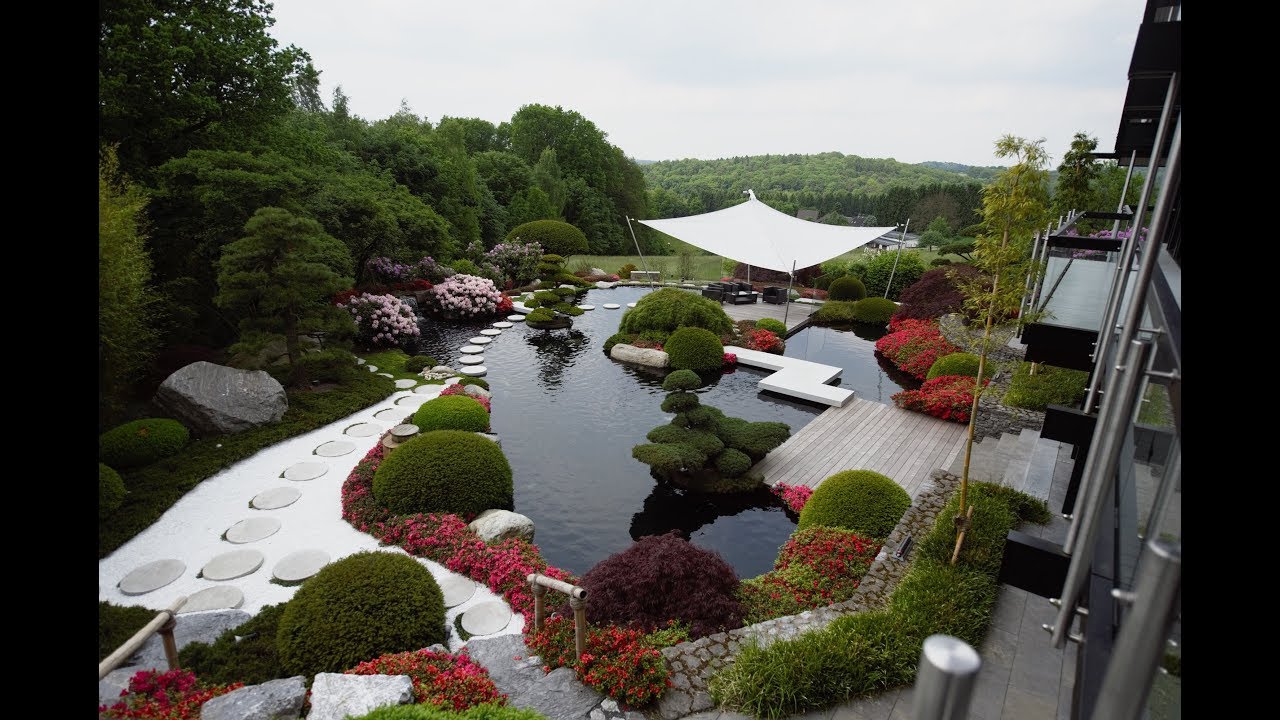 Modern Koi Blog #2100 - Wenn Träume Teich werden - ein 430.000 Liter Koiteich