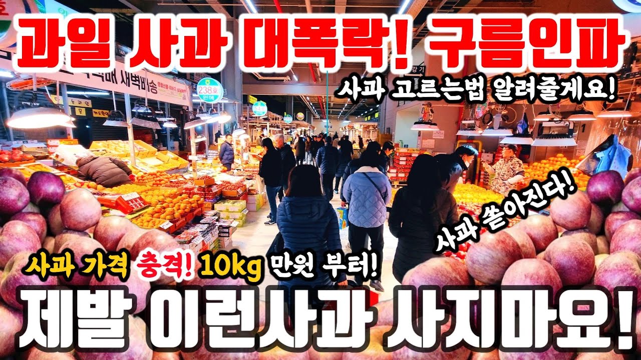 인천삼산/남촌도매시장@과일 사과 대폭락! 10kg 만원!구름인파! 제발이런사과 사지마! #폭락 #세일 #할인 #떨이 #시장 #과일 #야채 #채소 #도매시장
