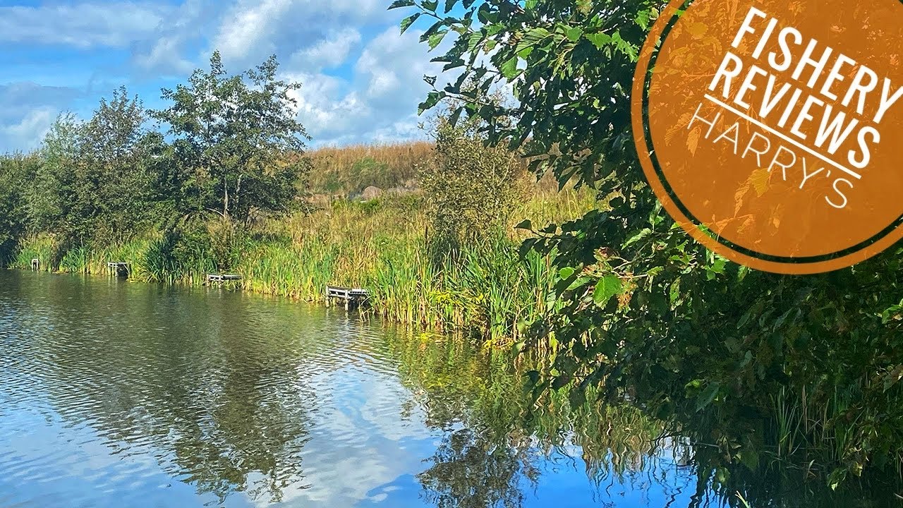 Double Method Feeder Fishing at Harry's | Fishery Reviews