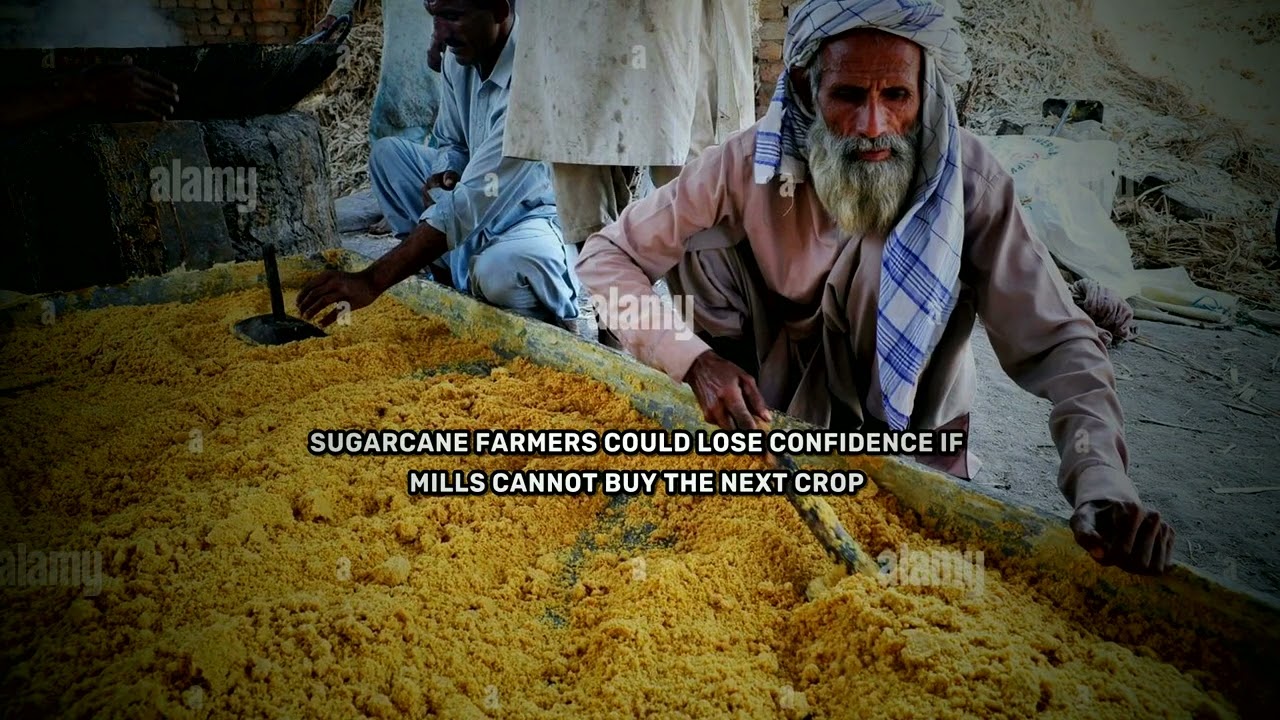 Pakistan&rsquo;s Sugar Surplus Could Hit Farmers First