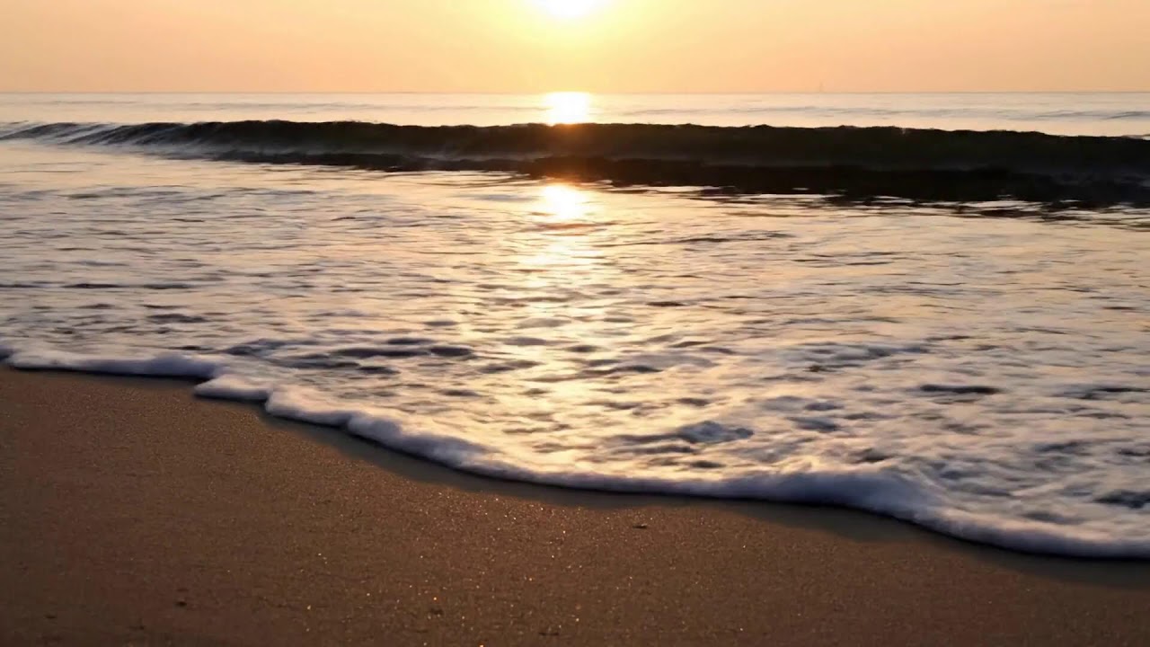 Happy Indie Folk Songs | Indie/Pop/Folk/Acoustic Playlist Vol 246