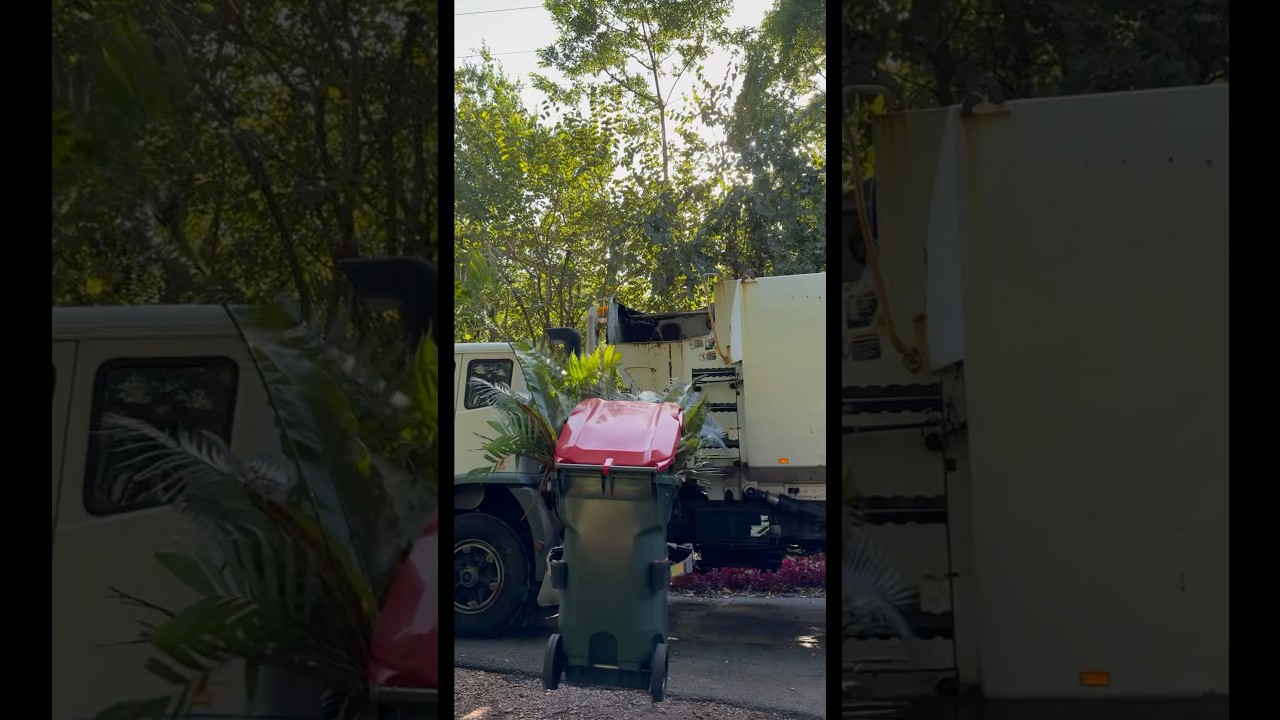 Green waste collection compilation
