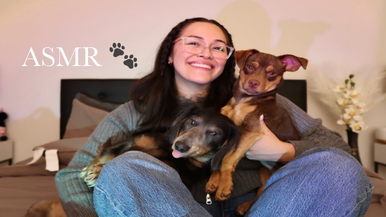 ASMR | Meet my FURBABIES 🐾💖 *so cute* (back scratches, brushing and pampering)