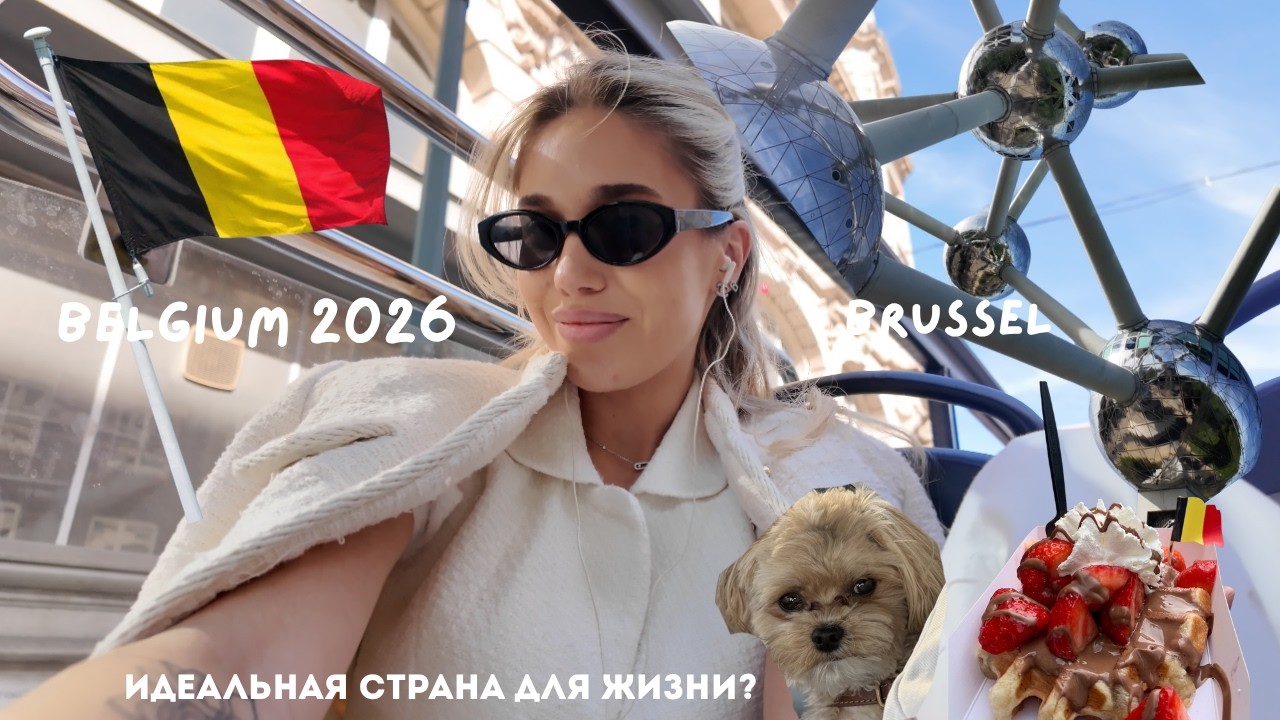The ideal country to live in. Vlog Belgium. Weekend in Brussels. Traveling with a dog