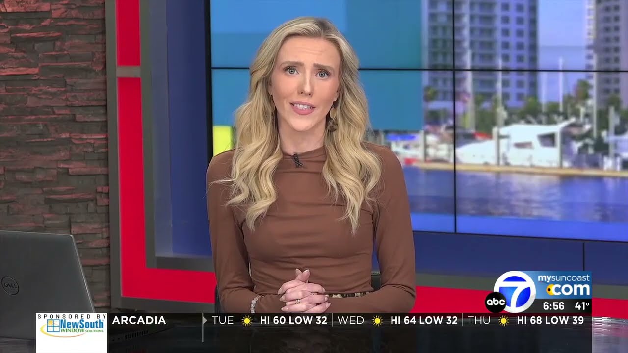 Alexandra Todd Morning Anchor
