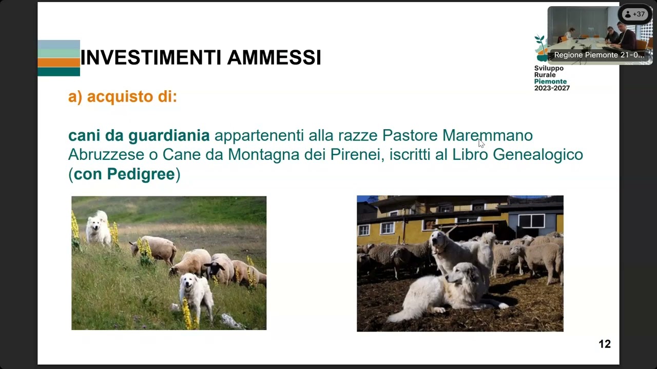 Miglioramento della coesistenza tra l'agricoltura, gli allevamenti e la fauna selvatica – Bando 2025