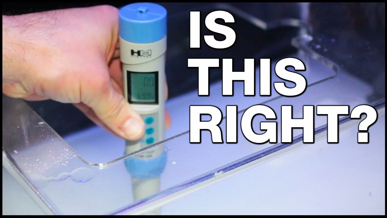 3 Ways to Make Kalkwasser Dosing Your Reef Tank Safer & Easier | Neptune Apex Guide