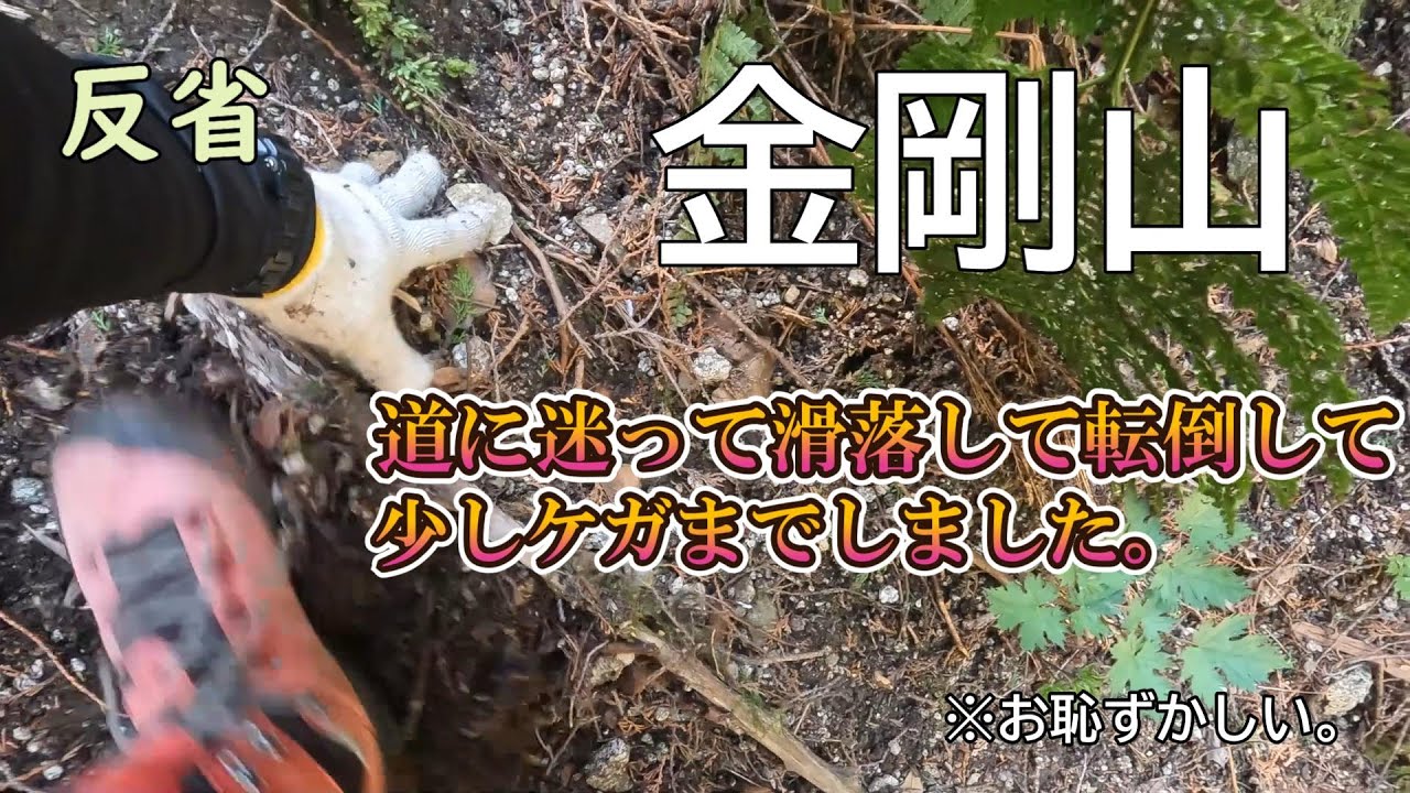 金剛山で道に迷ってちょっと滑落してケガしました。って最悪な山行になった日～お恥ずかしい話の数々皆様はけしてこんな事になりませんように