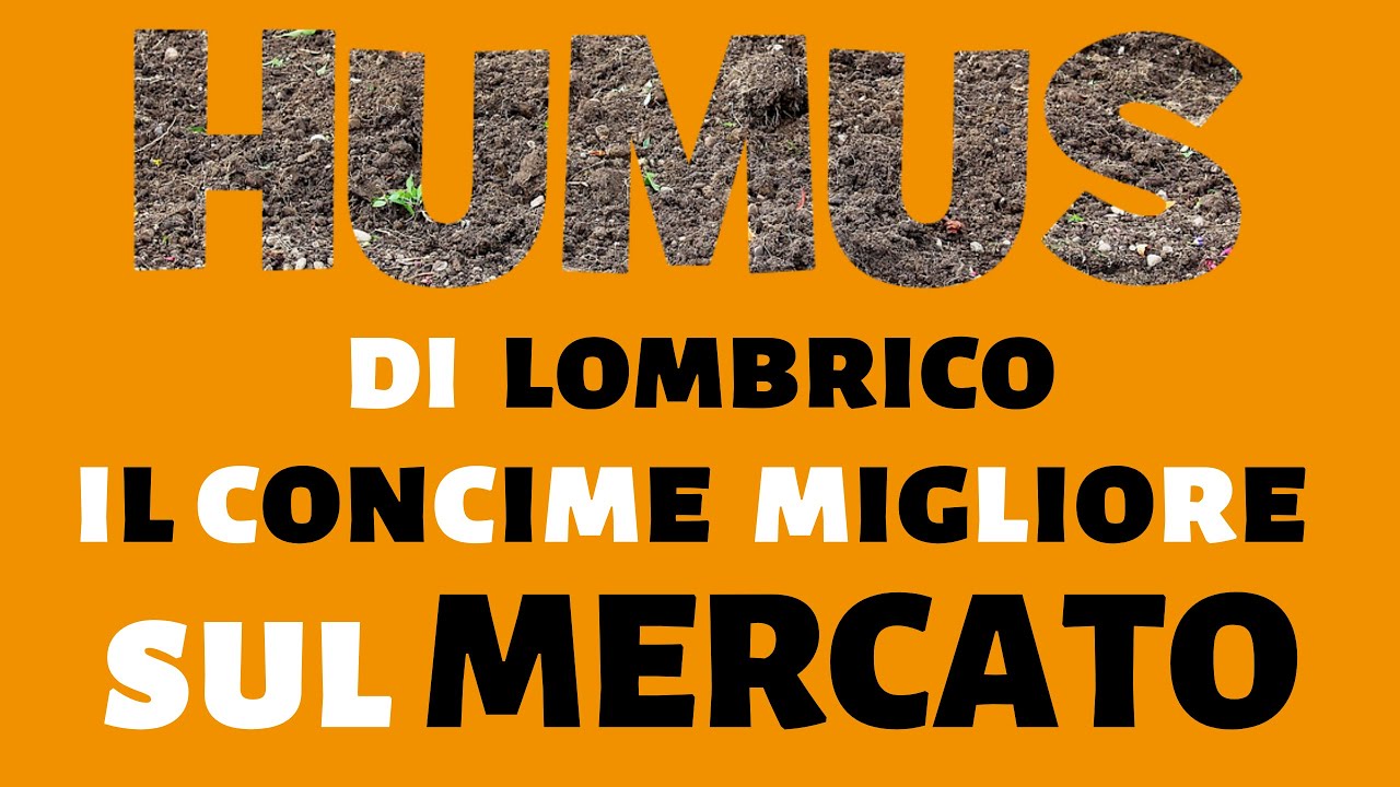 Concime biologico? Ecco l'humus di lombrico