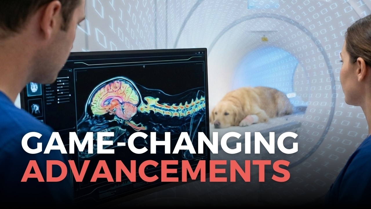 Game Changing Advancements Through Veterinary MRI