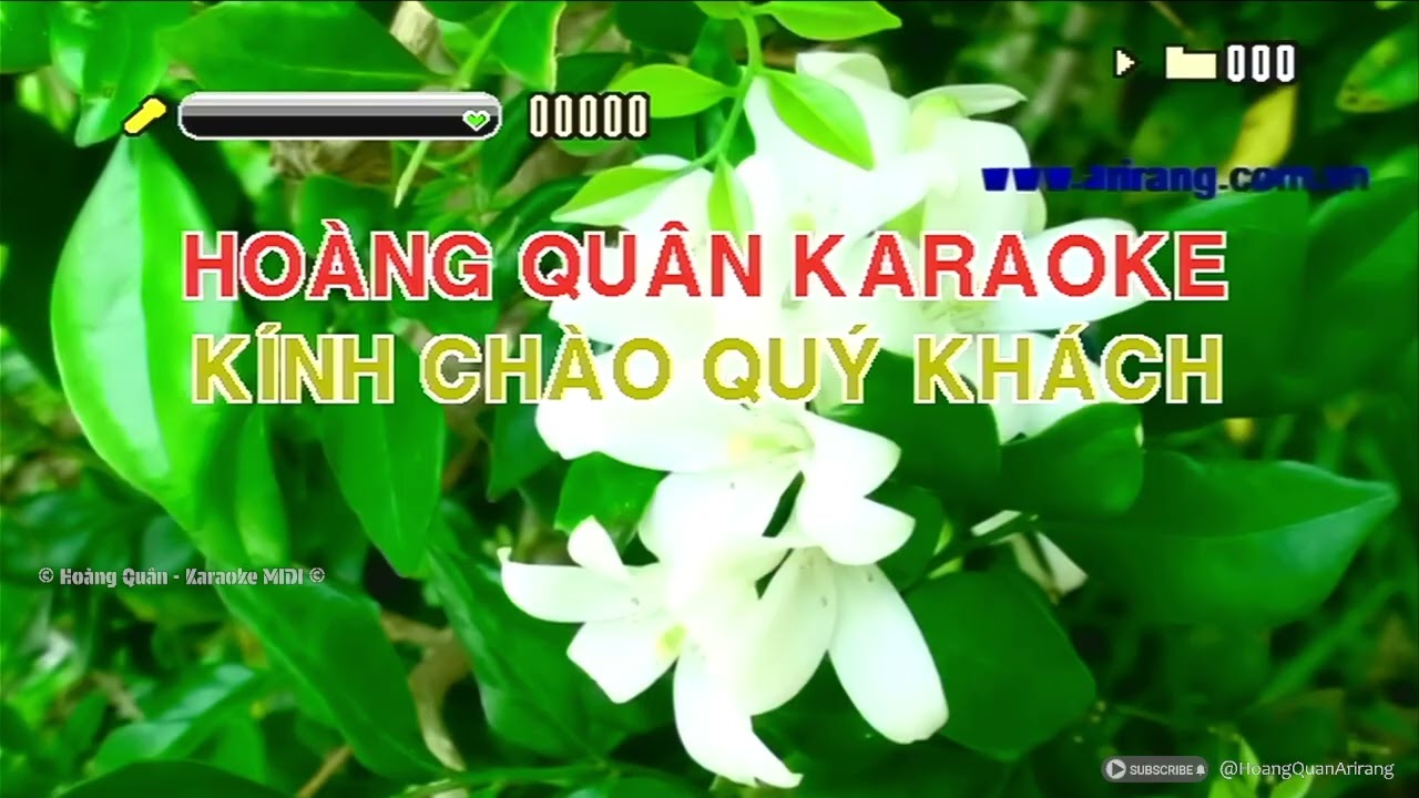 T&igrave;nh Dại Khờ Karaoke Vi T&iacute;nh MIDI Arirang