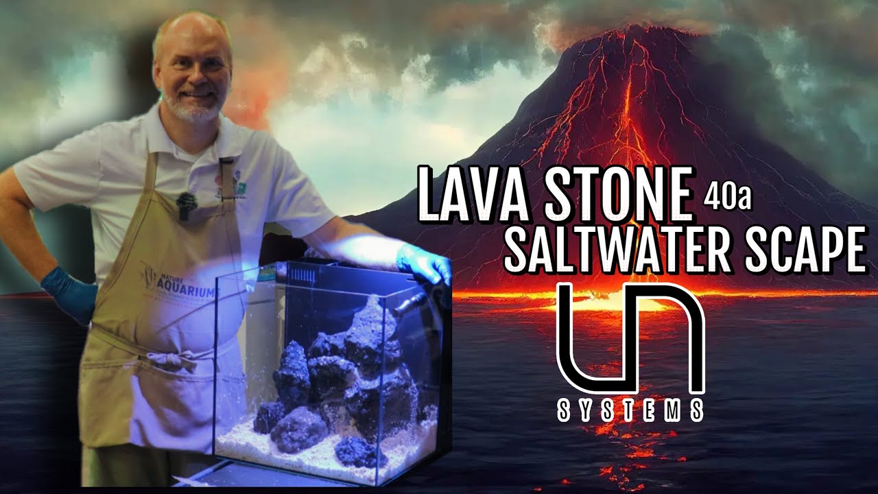 Lava Stone Reef Tank Setup Part 1 - Beginner's Guide to Setting Up a Reef Tank