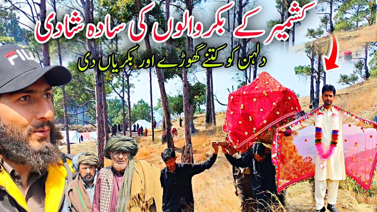 😱 Traditional Bakarwal Marriage Ceremony In Kashmir | Gifting Horse & Goat's