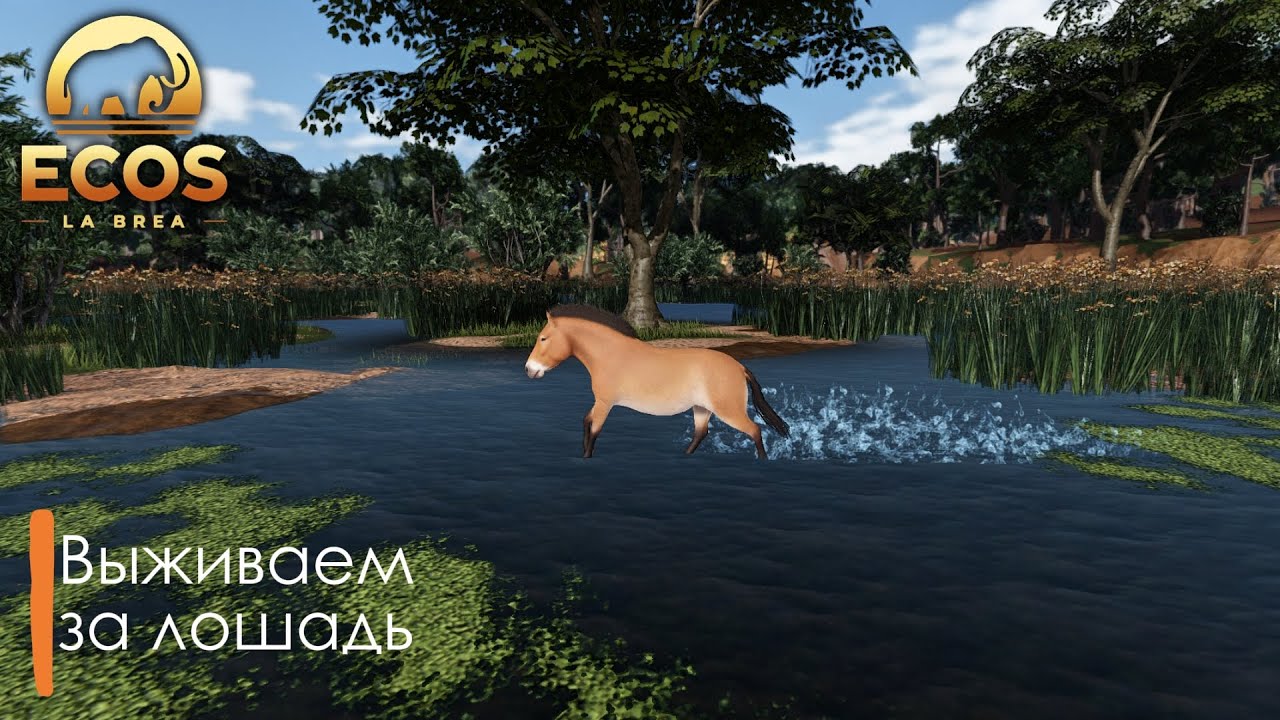 Ecos: Выживаем за лошадь | ECOS: La Brea