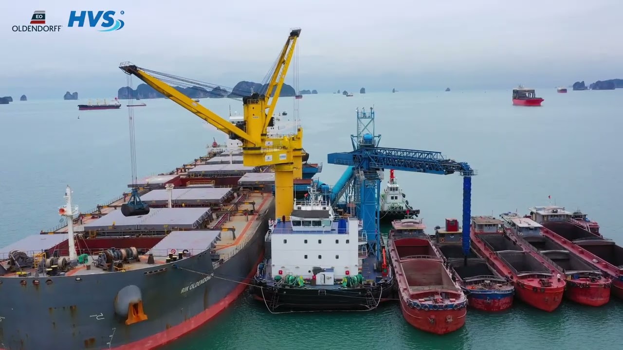 Vietnam’s Leading Coal Transshipment Services | Trusted by Global Clients – Haivanship