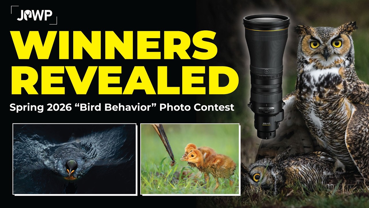 $16,000 Wildlife Photography Lens Winner Revealed | Bird Behavior Photo Contest